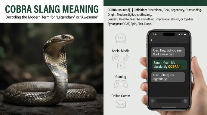 Cobra Slang Meaning