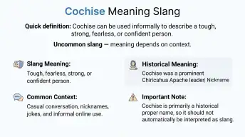 cochise meaning slang