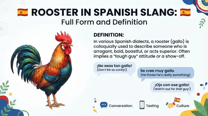 Rooster in Spanish Slang: Full Form and Definition