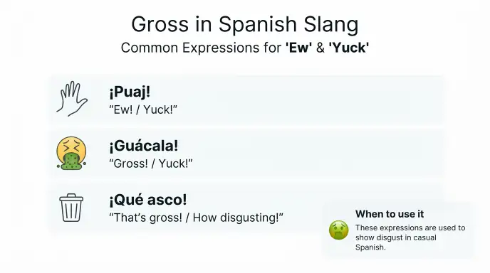 gross in spanish slang