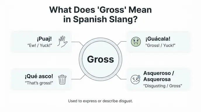 What Does “Gross” Mean in Spanish Slang?