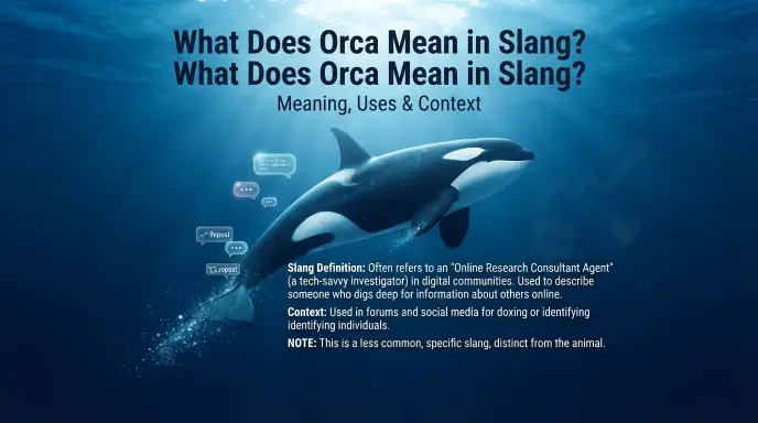 What Does Orca Mean in Slang?
