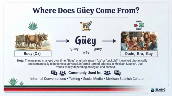 Where Does Güey Come From?
